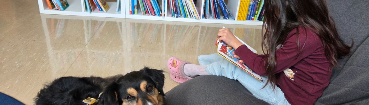 Lesehund Kaya